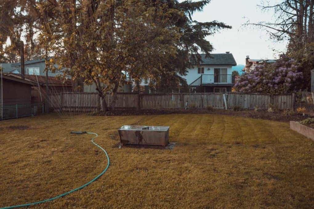 view of grass in backyard; spring cleaning checklist