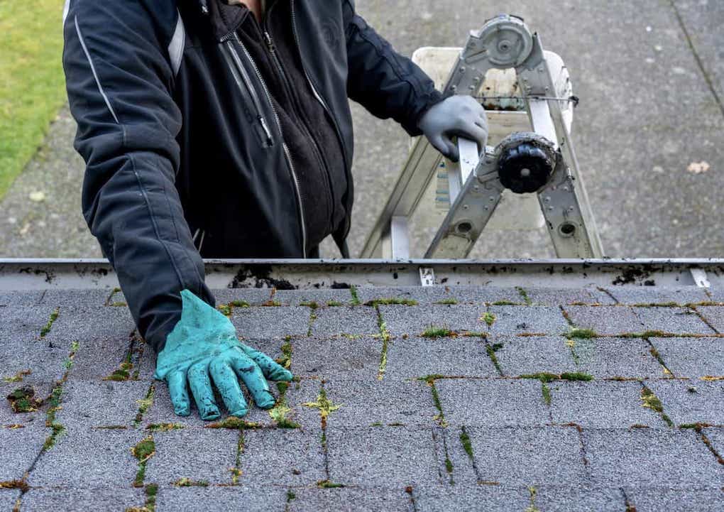 man on ladder cleaning moss of roof shingles; spring cleaning checklist